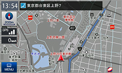 グレースケール表示(特許出願中)