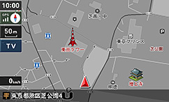 グレースケール表示(特許出願中)
