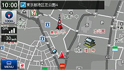 グレースケール表示(特許出願中)