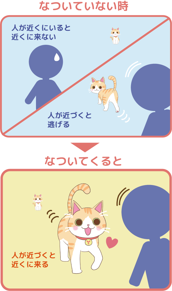 Juno(ユノ)は人が近くにいると近くにこない、人が近づくと逃げる