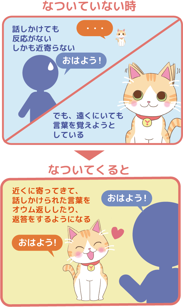 Juno(ユノ)は話しかけても反応がないけど、遠くにいても言葉を覚えようとしている